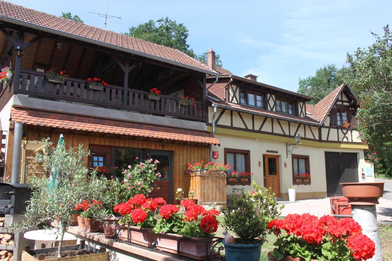 La Maison De Vacances Nothalten Kültér fotó
